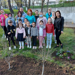 Activități de salubrizare