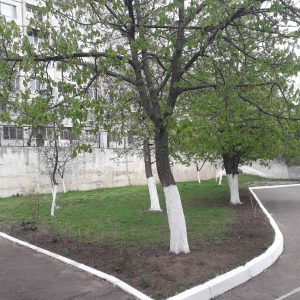 În perioada 08.04.2022–14.04.2022 s-au întreprins activități de salubrizare pe teritoriul instituției